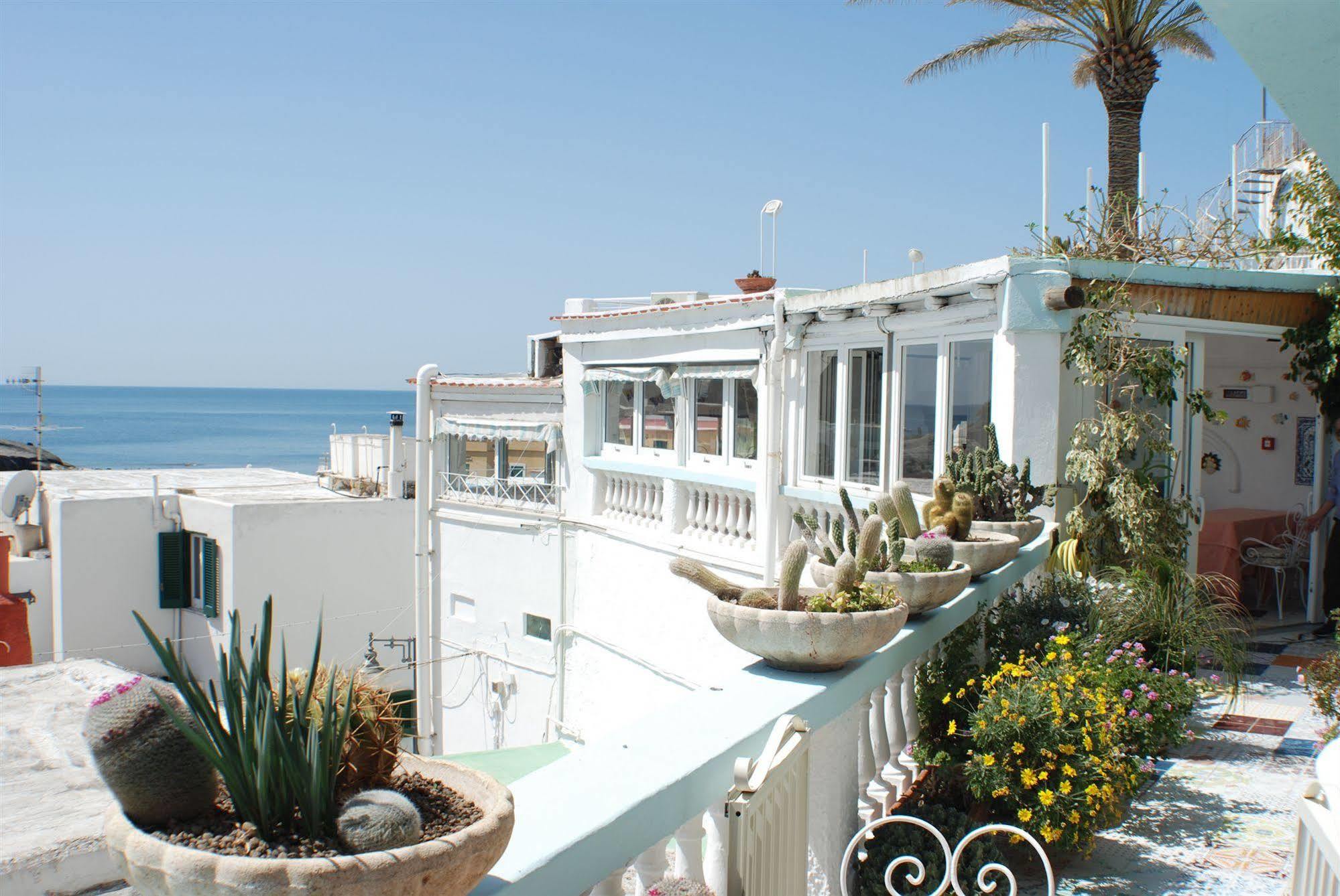 Hotel La Palma Sant'Angelo  Exterior foto