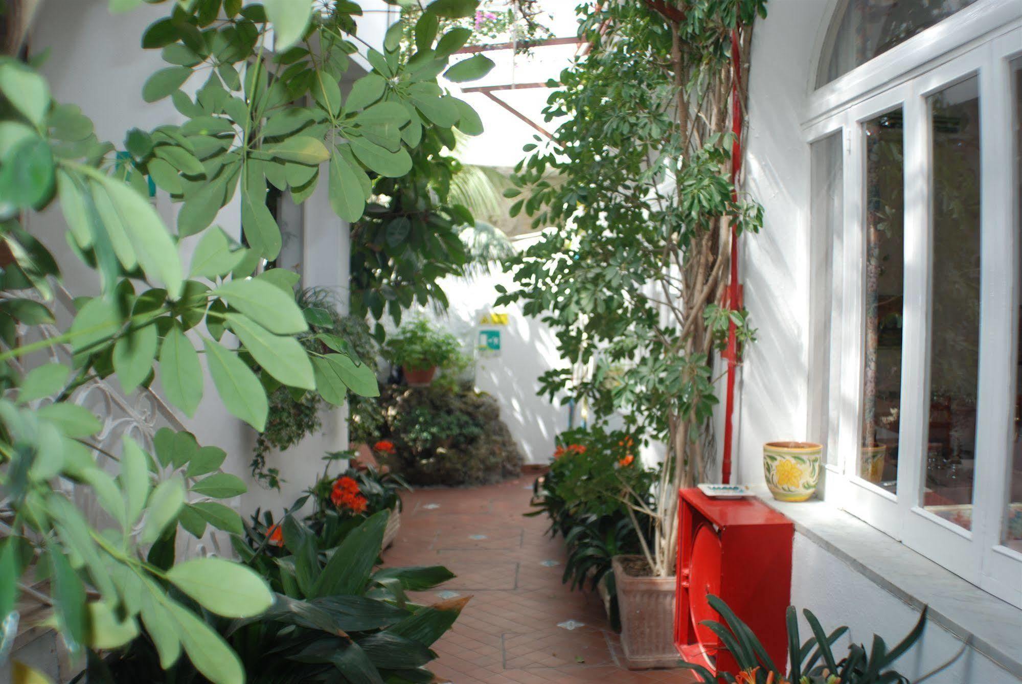 Hotel La Palma Sant'Angelo  Exterior foto